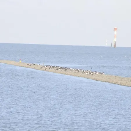 Ferienhaus With 3 Bedrooms *